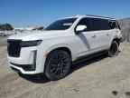 2024 CADILLAC ESCALADE