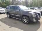 2015 CADILLAC ESCALADE