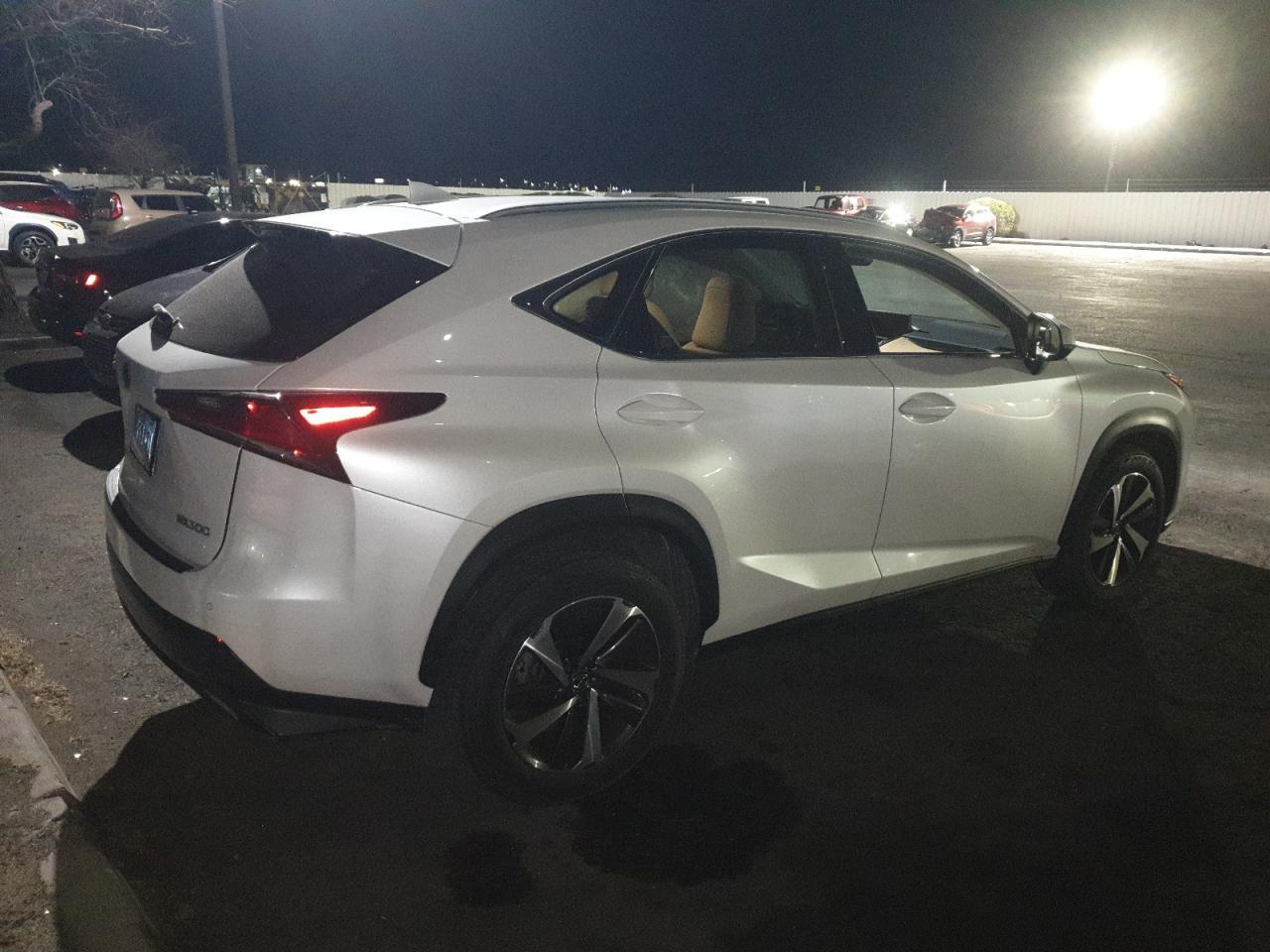 2019 LEXUS Nx