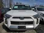 2021 TOYOTA 4Runner