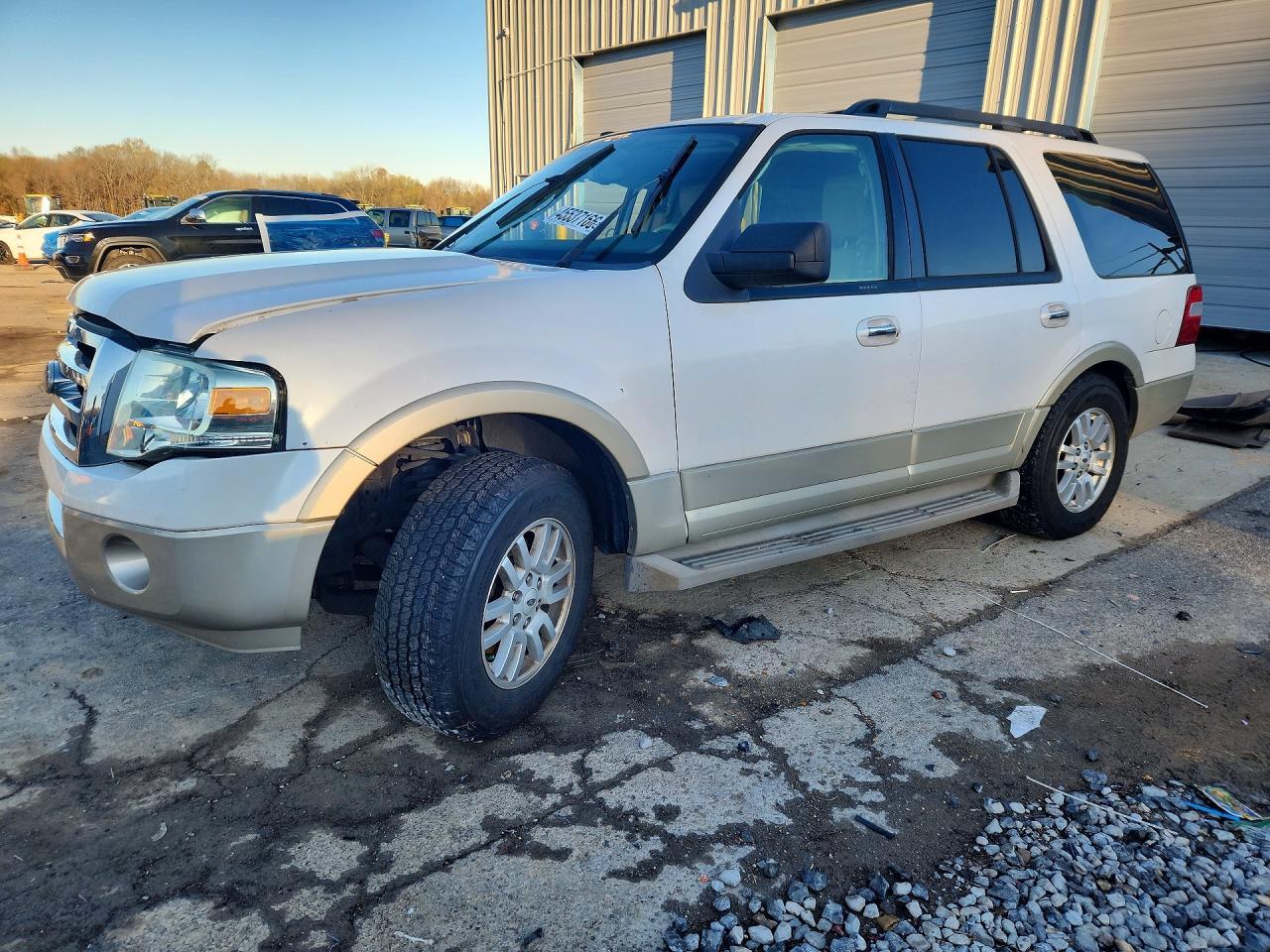 2010 FORD Expedition