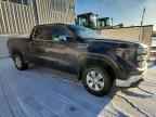 2024 GMC Sierra