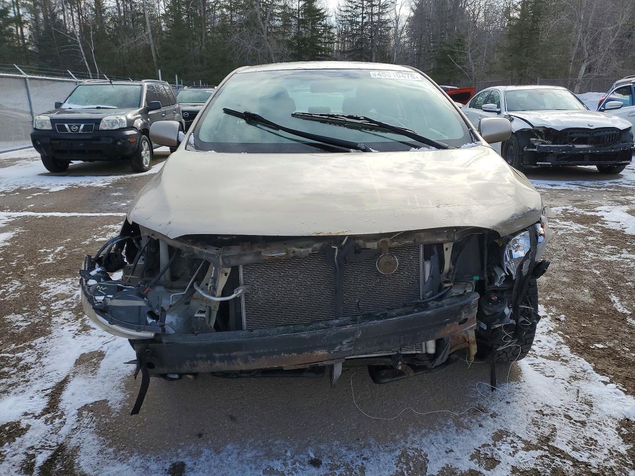 2009 TOYOTA COROLLA