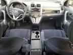 2007 HONDA CR-V