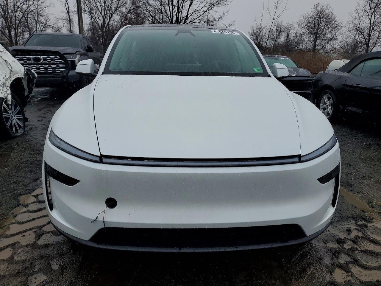 2026 TESLA MODEL Y