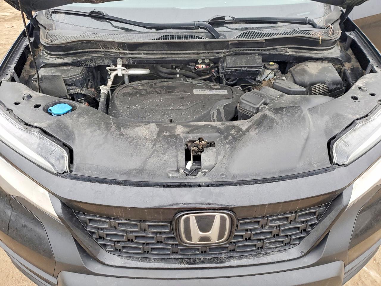 2019 HONDA Passport