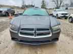 2014 DODGE CHARGER