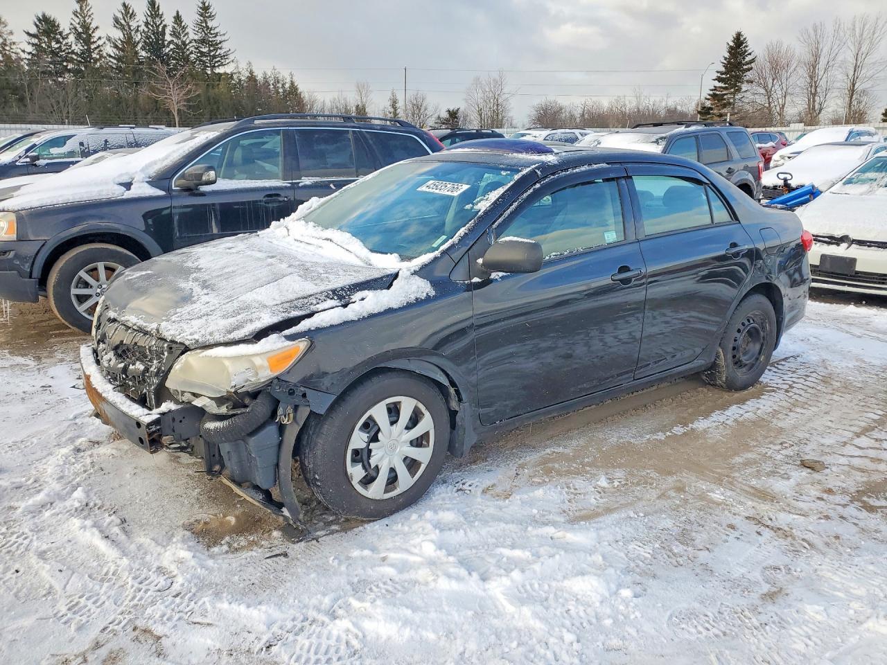 2013 TOYOTA COROLLA