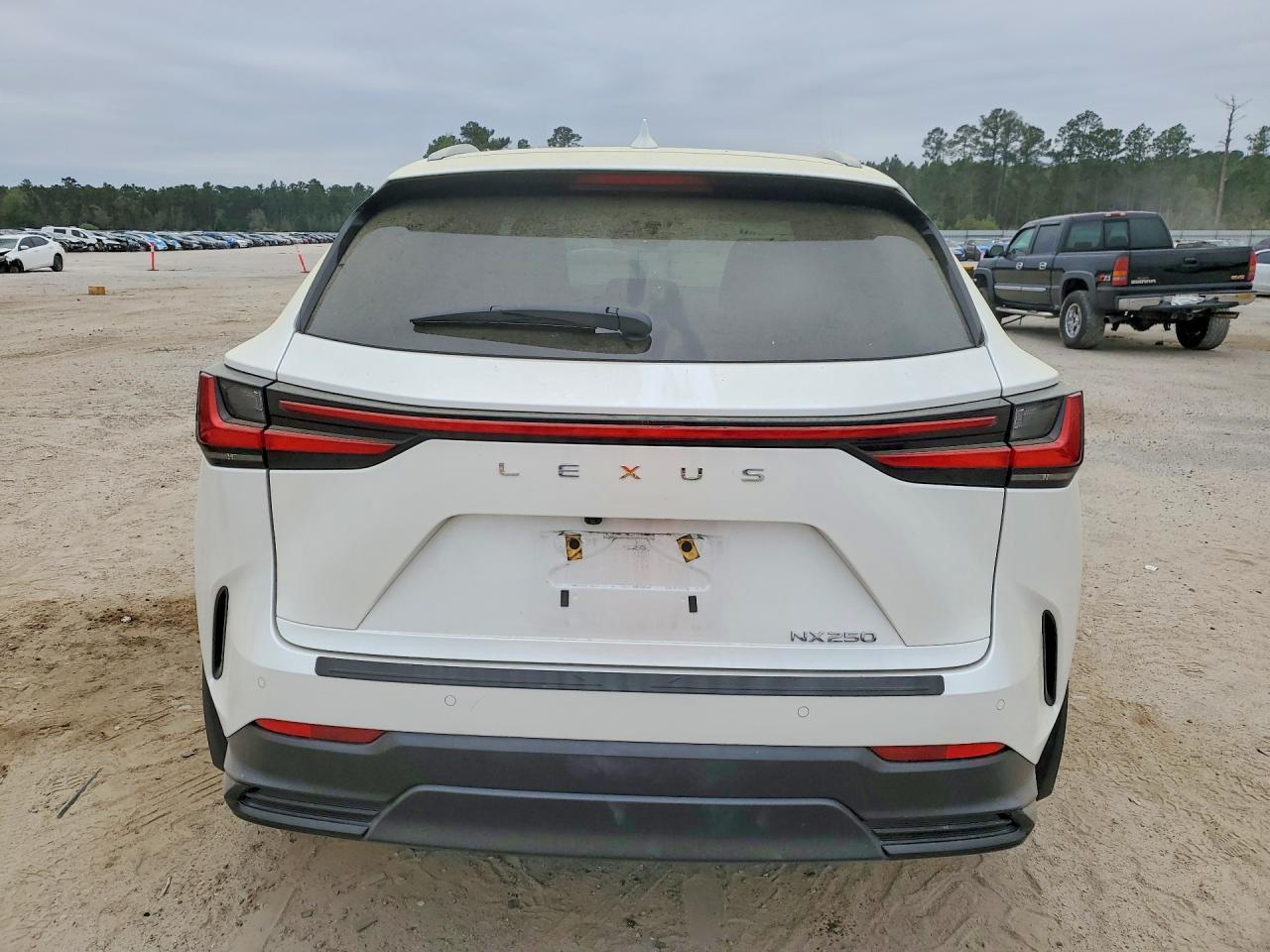 2023 LEXUS NX 250