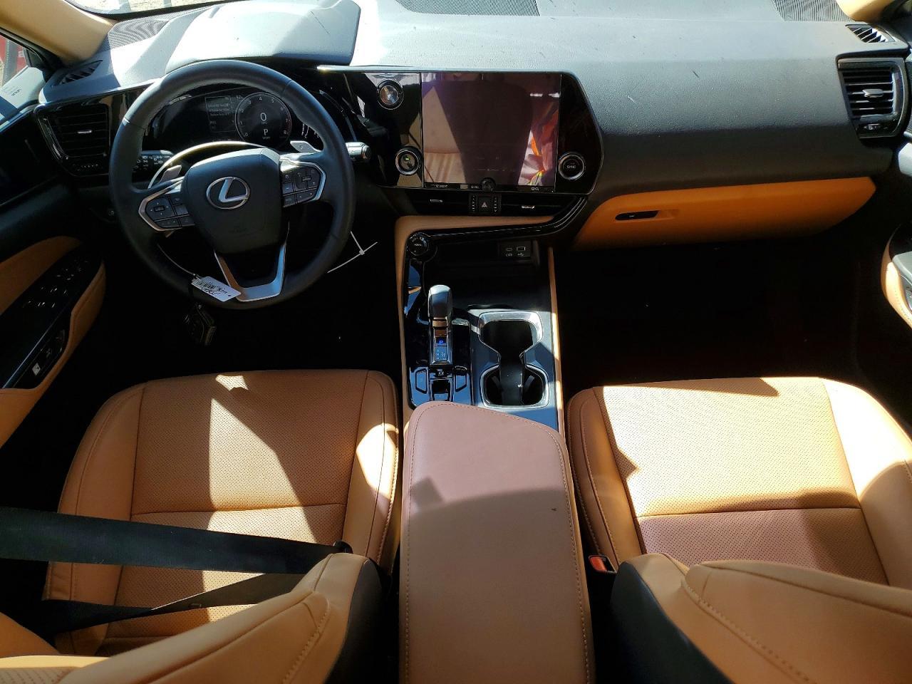 2024 LEXUS NX 250