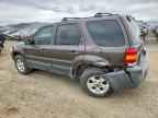 2007 FORD ESCAPE