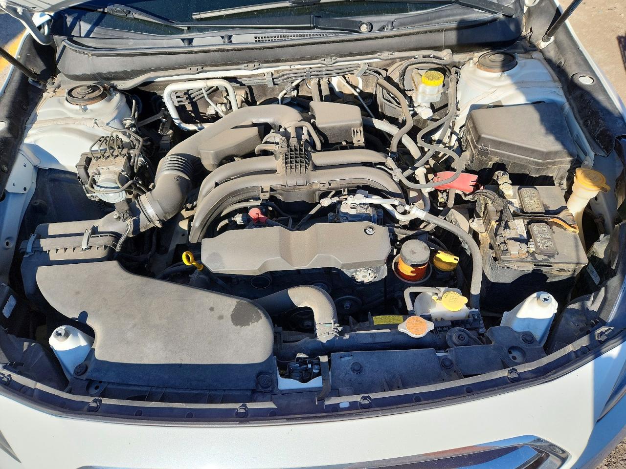 2019 SUBARU Outback