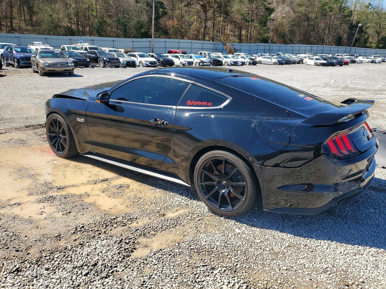2019 FORD MUSTANG