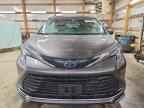2023 TOYOTA SIENNA