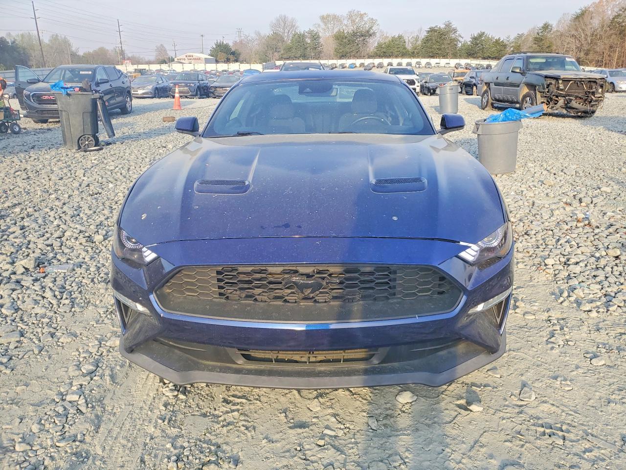 2019 FORD MUSTANG