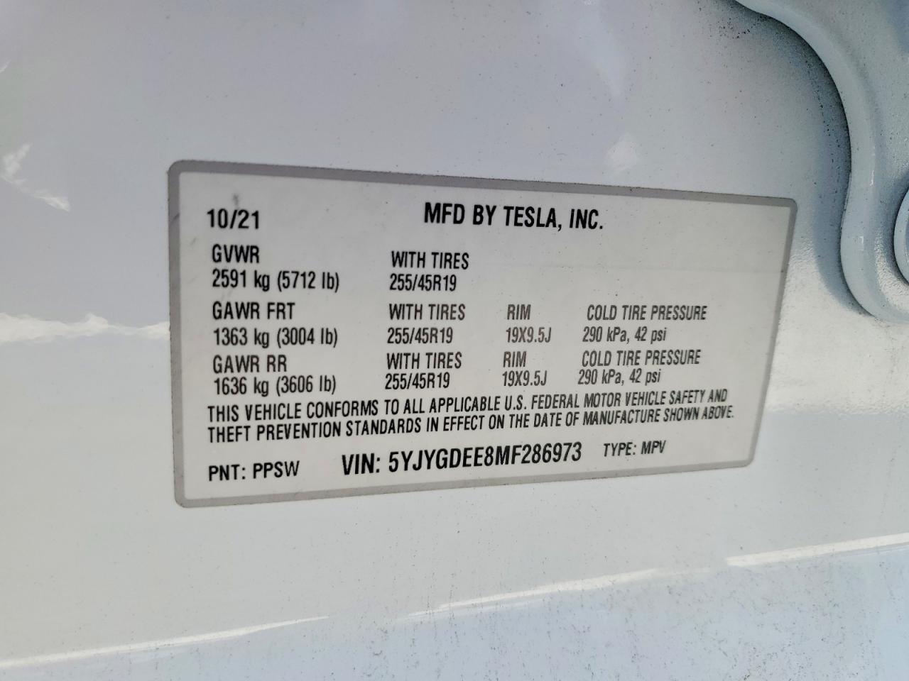 2021 TESLA Model Y