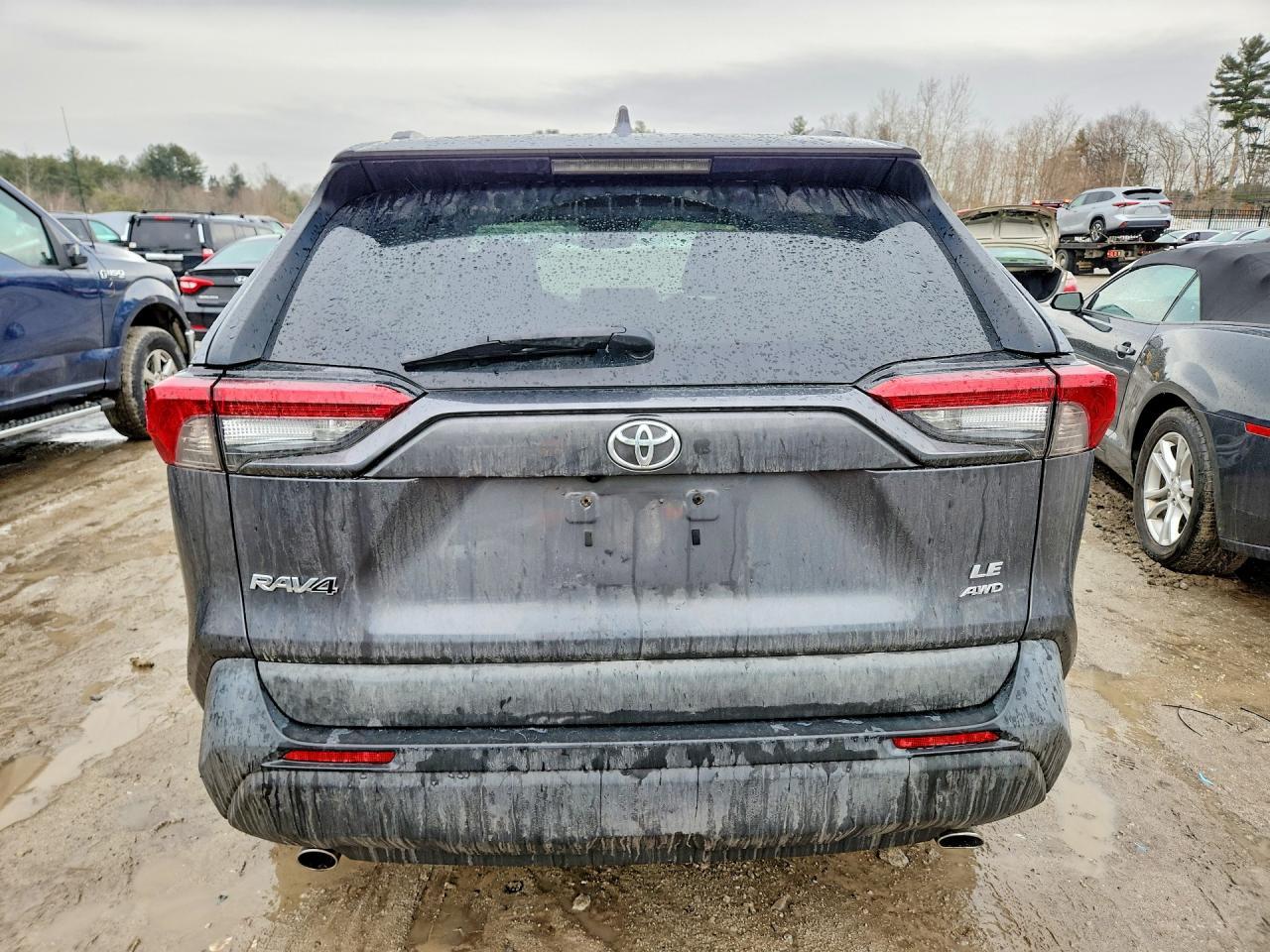 2019 TOYOTA RAV4