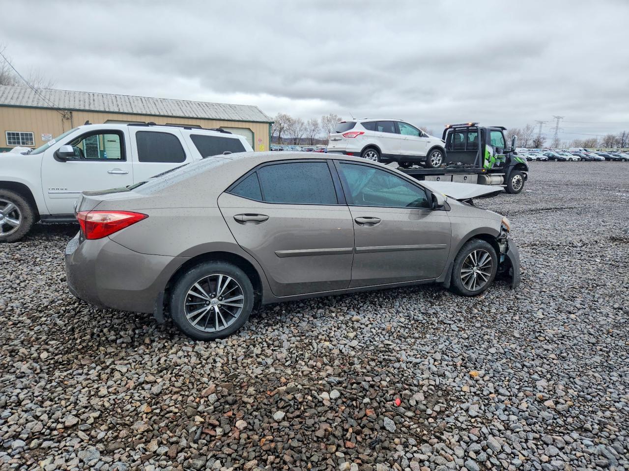 2019 TOYOTA COROLLA