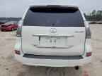 2017 LEXUS GX 460