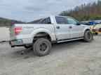 2013 FORD F-150 Lightning