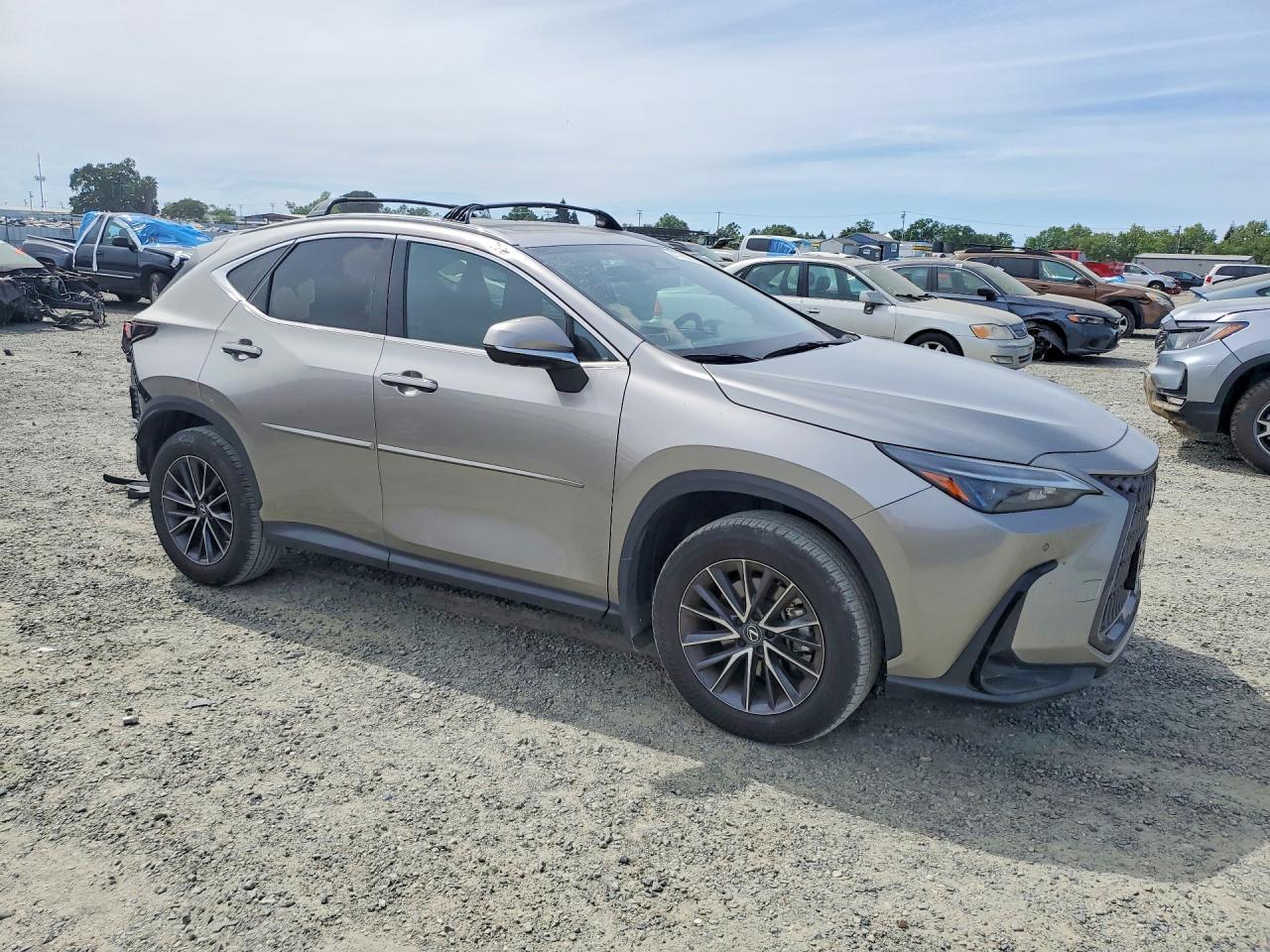 2024 LEXUS NX 350