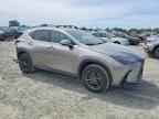2024 LEXUS NX 350
