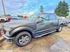 2015 FORD F-150 Lightning