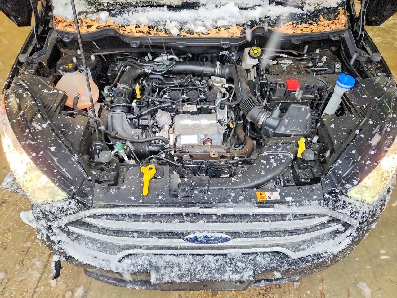 2021 FORD EcoSport