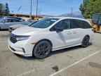 2023 HONDA ODYSSEY