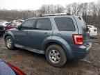 2010 FORD Escape Hybrid