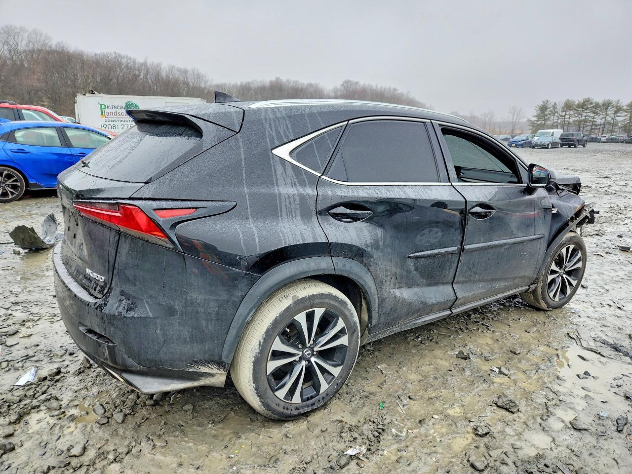 2018 LEXUS NX 300