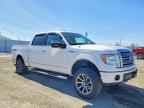 2010 FORD F-150 Lightning