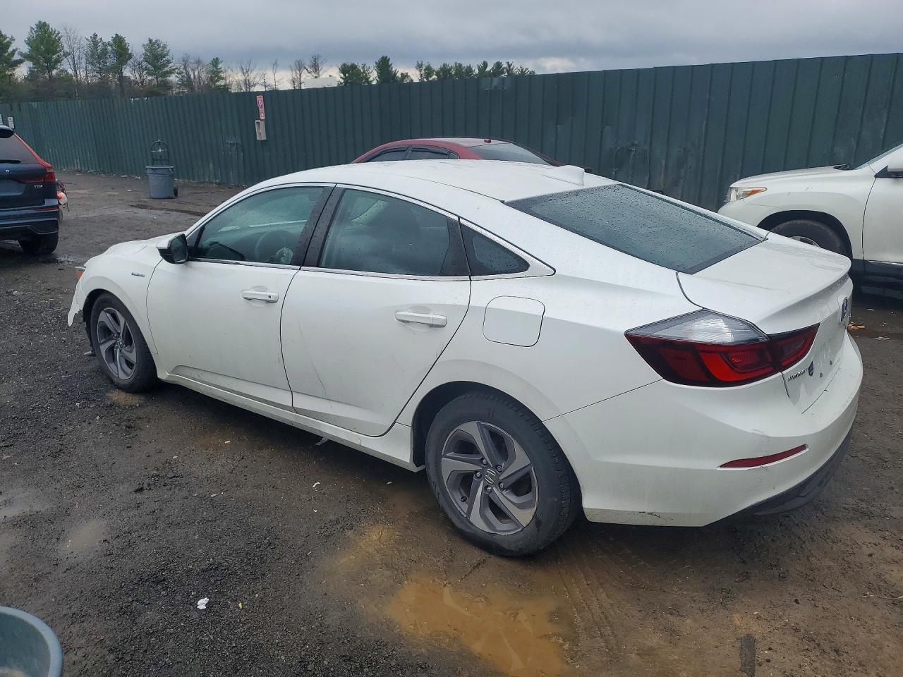 2019 HONDA Insight