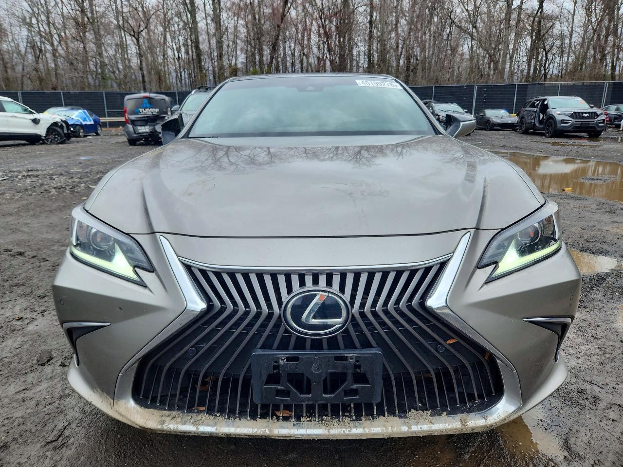 2019 LEXUS ES 350