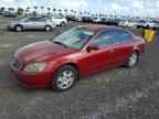 2005 NISSAN ALTIMA