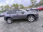 2024 TOYOTA RAV4 Prime