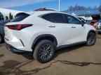 2025 LEXUS NX 350