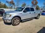 2014 FORD F-150 Lightning