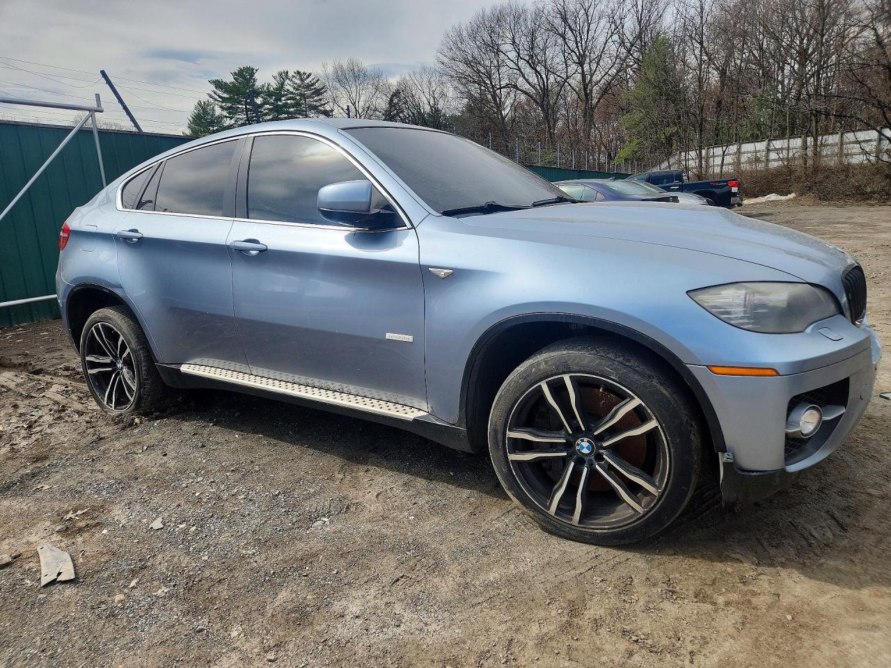 2010 BMW X6