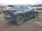 2023 LEXUS NX 350