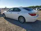 2007 LEXUS LS 460