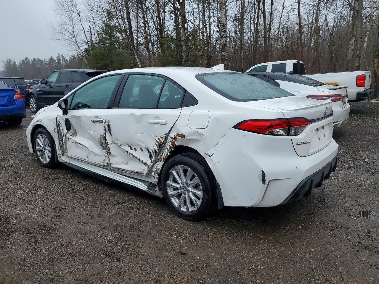 2025 TOYOTA COROLLA