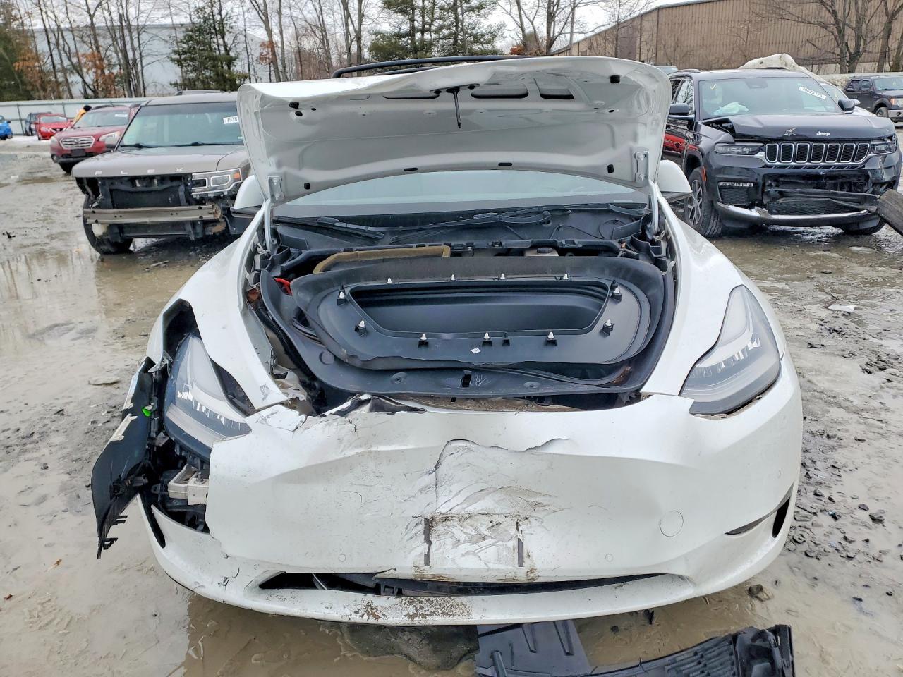 2021 TESLA MODEL Y