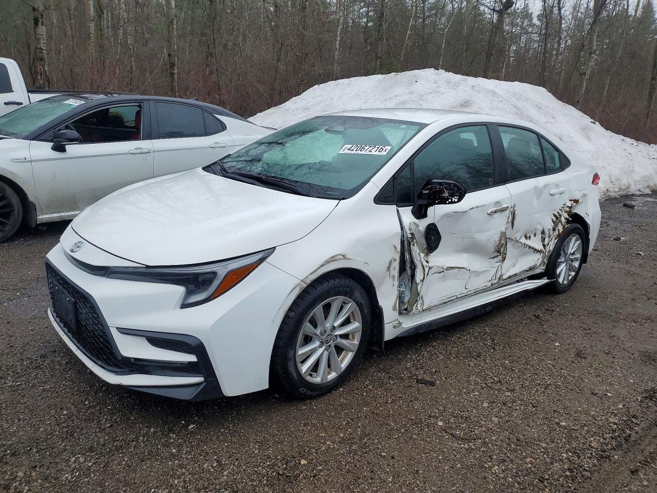 2025 TOYOTA COROLLA