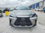 2024 LEXUS NX 350