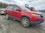 2011 KIA SORENTO