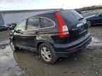 2010 HONDA CR-V