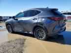 2023 LEXUS NX 250