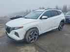 2024 Hyun Tucson