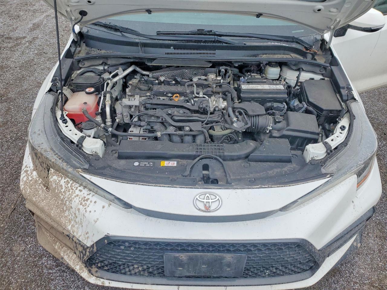 2020 TOYOTA COROLLA